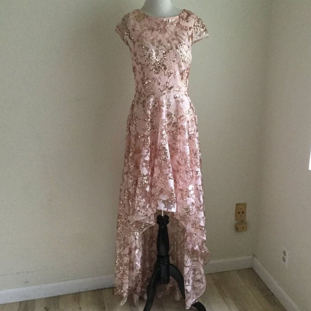 Eliza J. Sequin Peachy Pink Embroidered Sequin Gown 6 - Picture 2 of 13
